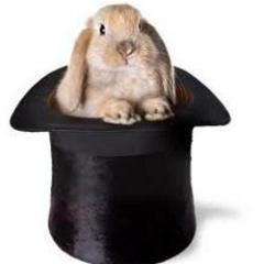 http://t.co/njYCcKfmIX  de website voor goochelen