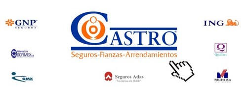 Agente de Seguros, Fianzas y Arrendamientos ... Cel. 9831059833 Compañías: GNP AXA QUALITAS BANORTE y ALLIANZ