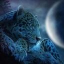 Cathy Dean - @simbachew51 - Twitter