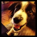 Diane Coyle's avatar