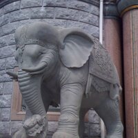 Christina Ceisel (@ceis2011) 's Twitter Profile