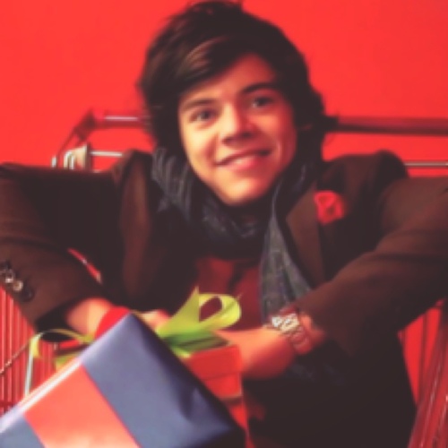 obviouslyfaux's profile picture. How much does a polar bear weigh?