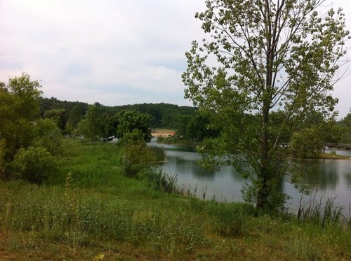 m2a00's profile picture. 