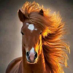 سبحان الله وبحمده سبحان الله العظيم