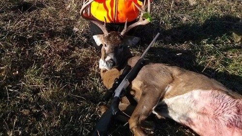 vannahsue22's profile picture. 