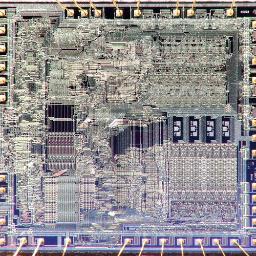 BorisBegemann's profile picture. 