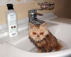 cleancussing's profile picture. Phrases for when you need to vocalize anger but profanity is too mainstream.