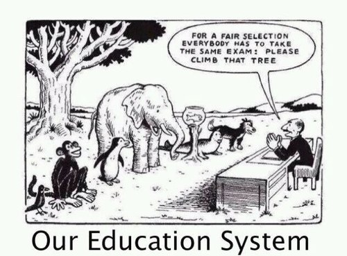 Educator at heart