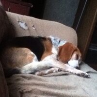 Harry Lawton (@harryhlfb) 's Twitter Profile