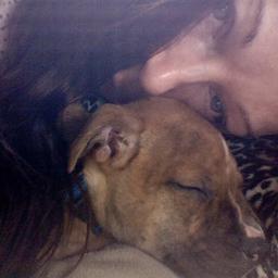 mijatyco's profile picture. 