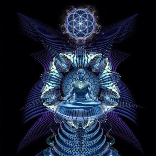 En este nuevo ciclo de la vida, junto con Gaia, nos conectamos en unidad a través del amor incondicional con todo ser
