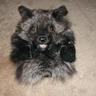 Sentinel103's profile picture. Former Army and now retired pipefitter, but still a current writer under the pen names Sentinel103 and co author with BearSent176 so that means I'm a lazy guy.