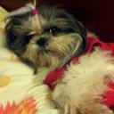 Teri Mooney - @prettypixie2010 - Twitter