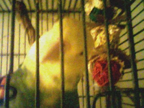 Life is life & life goes on w the rising sun upon rainbowed radiant dawn.   God did give us a rose garden we just forget the work & thorns. FB: Angel Songs