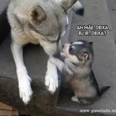 oi deus está conosco! Ele nos faz feliz!