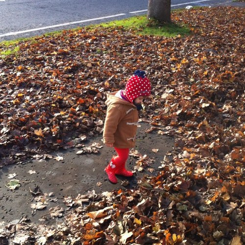 Jonno1033's profile picture. A.d.r.i.a.n. G.o.r.d.o.n.