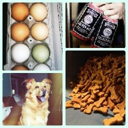 ChewMonsterNC's profile picture. Pup-treats made with spent grain from Triangle Brewing and healthy ingredients from NC farms. We love dogs, beer and sustainability!