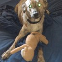 Dennis Barter - @Egon060DB - Twitter