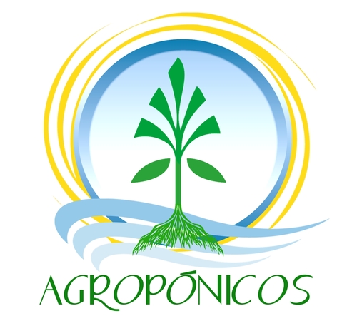 Manejo de Técnica Hidroponica y Sistema de Cultivo en Chile. 

Agroponicos-Alimentos Saludables, Innovación y Emprendimiento.  Ctc:agroponicos@gmail.com