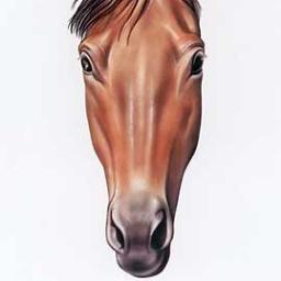 Mori_C_bot's profile picture. どんどんリプライください。返信いたします