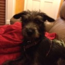 Jon Romeo - @JonRomeo - Twitter