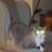 Burrdav's profile image