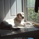 alan bodi - @1sirroland6 - Twitter