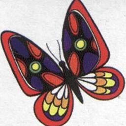 BioBioFENAPO's profile picture. Peleando contra los Lobos, Peleando por una Casa. Construyendo la Nueva Población, con el Nuevo Poblador. Somos Pobladores Organizados del BioBio.