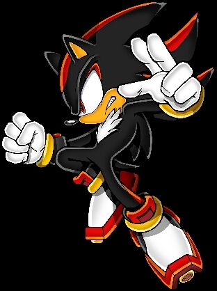 I'm Shadow the hedgehog. The worlds ultimate life form able to harness the power of the emeralds. Taken by: @BlazeGirl4ever Best Friend: @blackrose2598 [RP/+18]