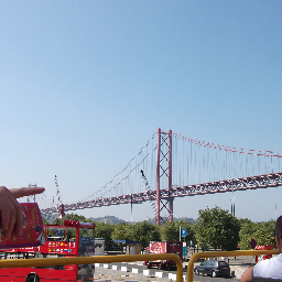 pitimini2's profile picture. 