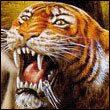 cisuvifi Profile Picture