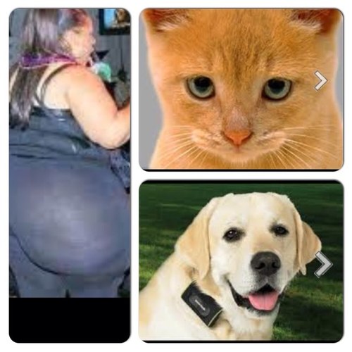 Im a total pussy ass bitch

#TeamFollowBack #FollowForFollow #FollowBack