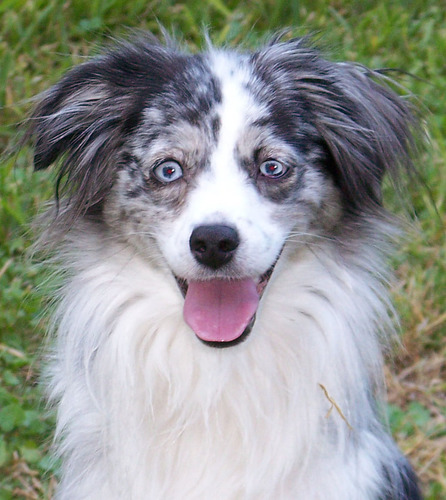 Alduhe45's profile picture. Reagan conservative, Pro Life, NRA Endowment member, Tea Party, Retired, Vietnam Vet: 3d Bn, 82d Arty,196 LIB, Americal Div @ Chu Lai & LZ Baldy '68-69