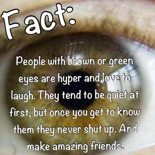 maddogclark's profile picture. love sports and pittsburgh ALOT!!