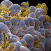 Proteomics Research (@proteomicsinfo) Twitter profile photo Proteomics Research (@proteomicsinfo) Twitter profile photo