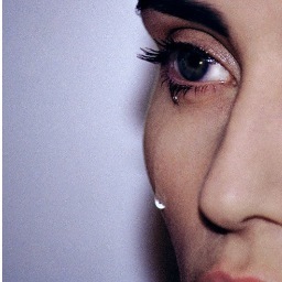 blonde_wreck's profile picture. 