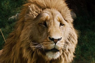 wordjourney's profile picture. Proclaiming the good news of our risen Savior and soon coming king, Jesus Christ. We consider it an honor to RT news impacting His children.