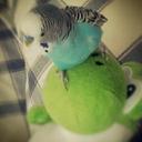 Elia Armas Bojórquez - @elia_armas - Twitter