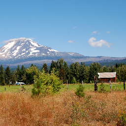 Darling12u's profile picture. 