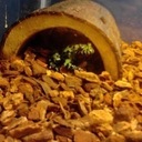 Scott Knott - @LiveStrongSDK - Twitter