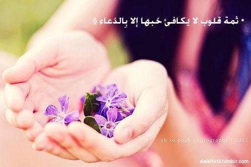 اللهم اجعل الجنة دارنا ومقرنا..
