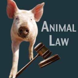 Animal Rights