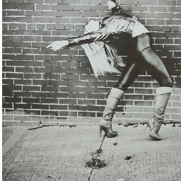 Kasey_Perlinger's profile picture. †