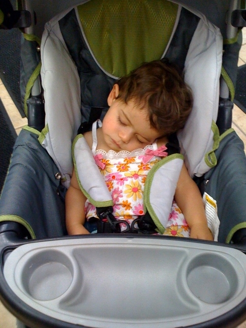 JanetCovello's profile picture. 