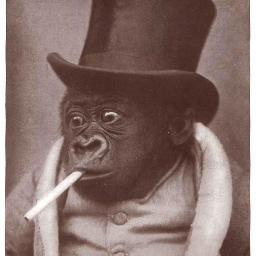 Ilustrador. Humorista gráfico.