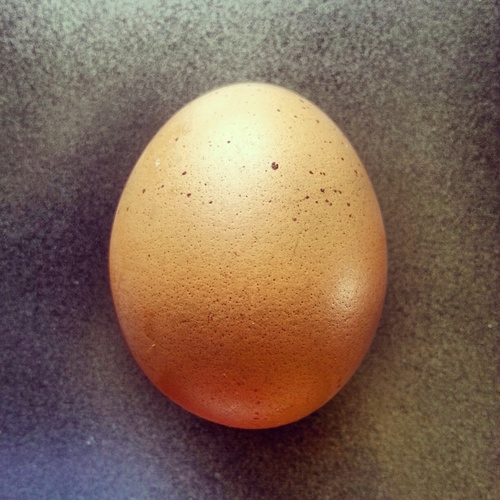 jammie_pants's profile picture. 