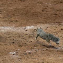 Aarontou's profile picture. Circuit judge. Follow STL Cardinals and Razrbacs.