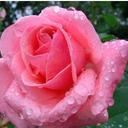 mary garay - @MarycGaray - Twitter