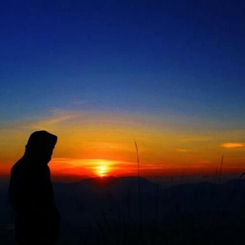• Pejantan ulung yang liar hijau enerjik bergairah dan beringas • Menerima jasa stuntman bagi mempelai pria di malam pertama anda, rahasia terjamin • @ARCYELLOW