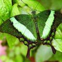 James Mellis - @james_mellis - Twitter